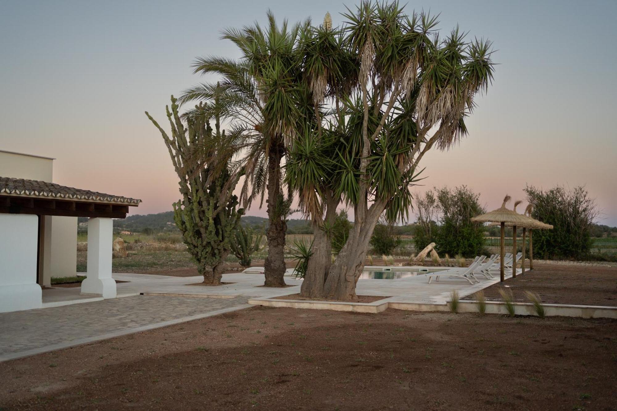 Vino Resort Son Amaret Son Macia  ภายนอก รูปภาพ