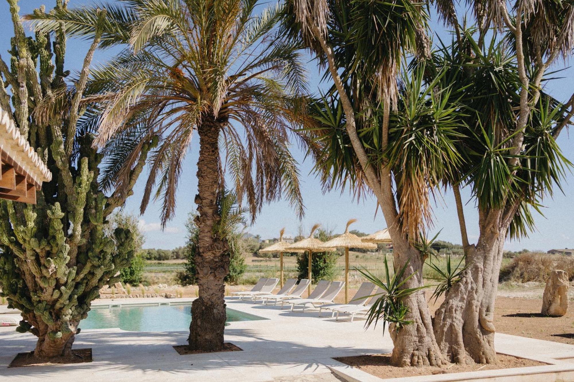 Vino Resort Son Amaret Son Macia  ภายนอก รูปภาพ