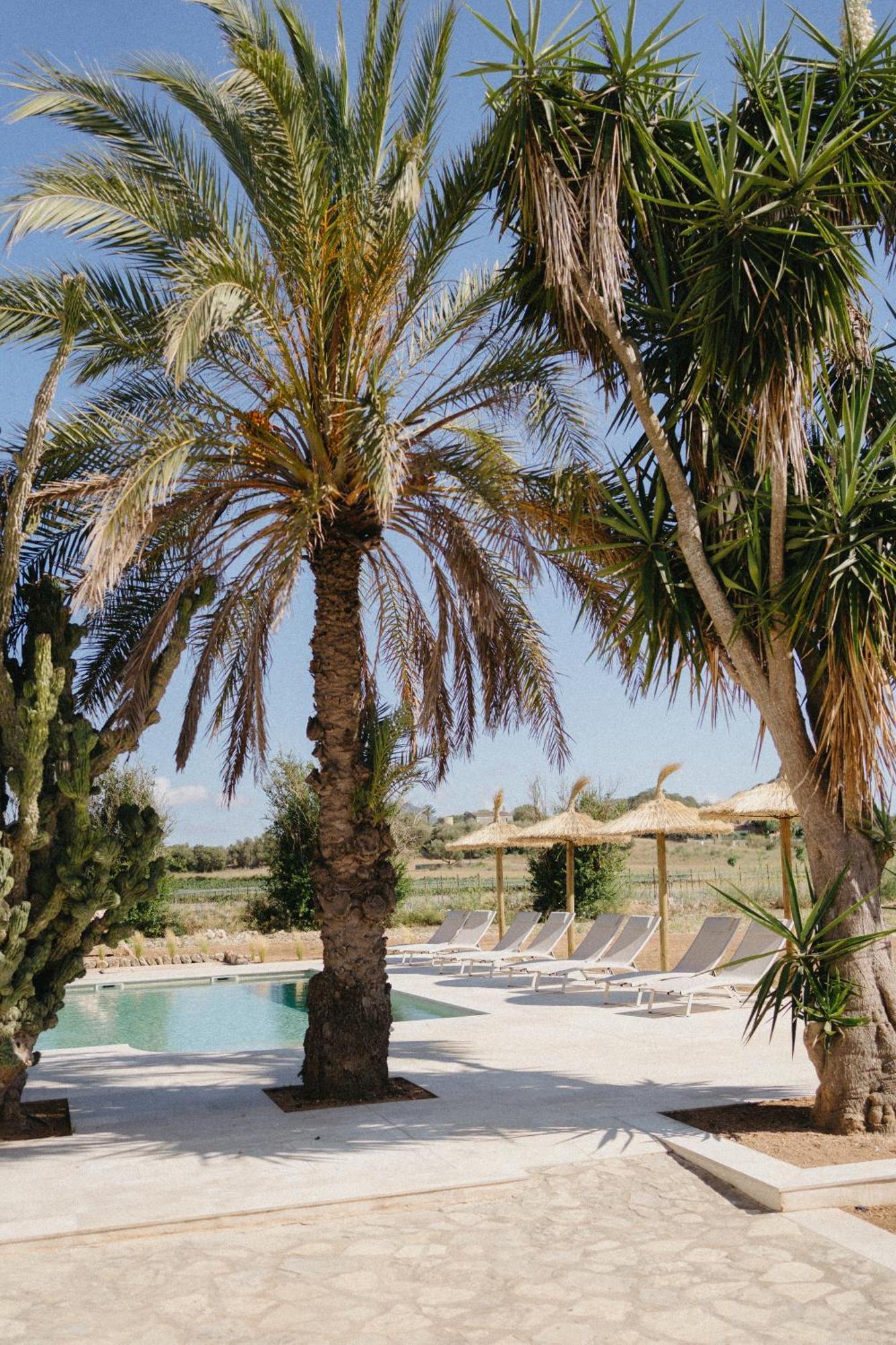 Vino Resort Son Amaret Son Macia  ภายนอก รูปภาพ
