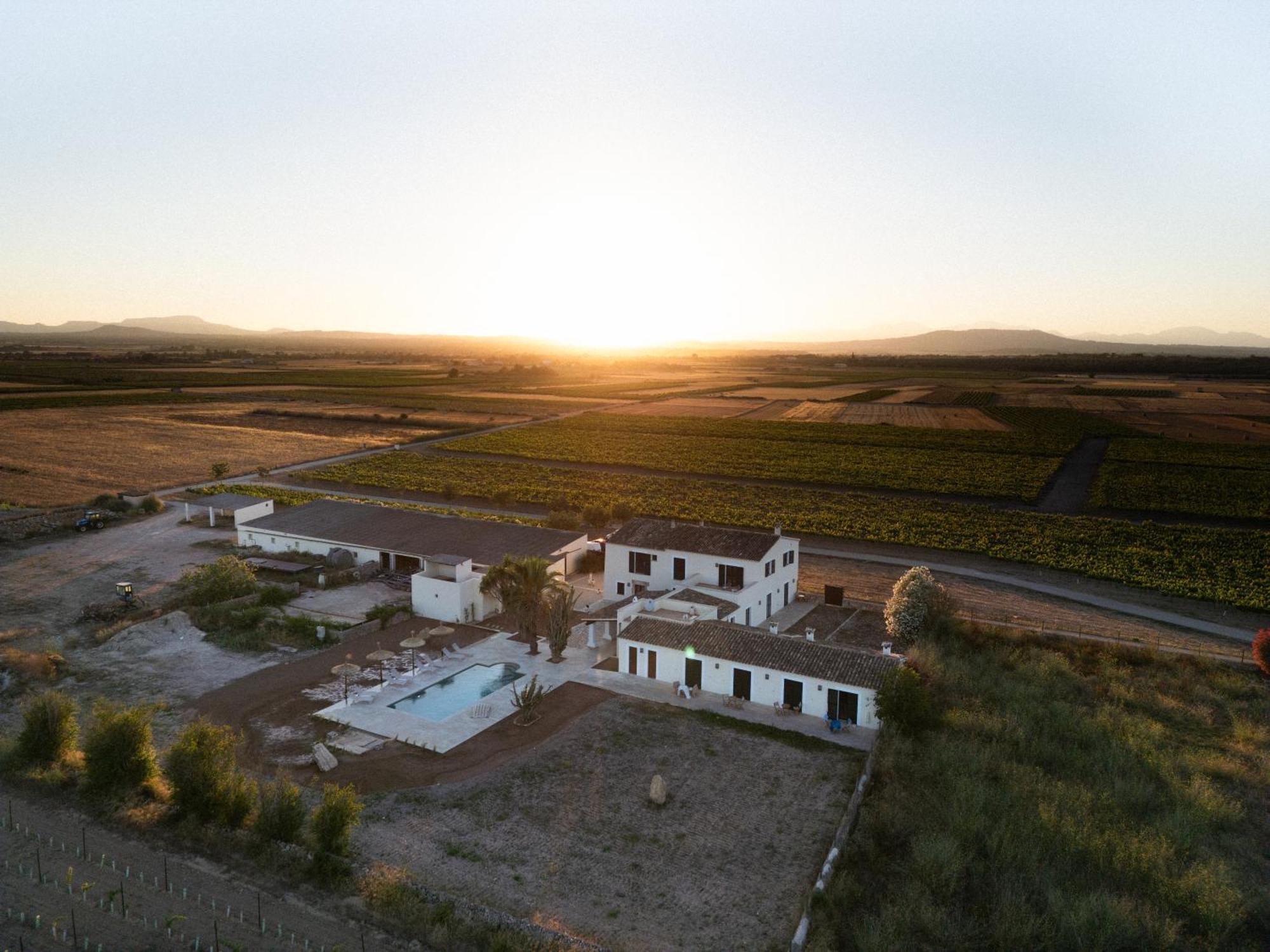 Vino Resort Son Amaret Son Macia  ภายนอก รูปภาพ